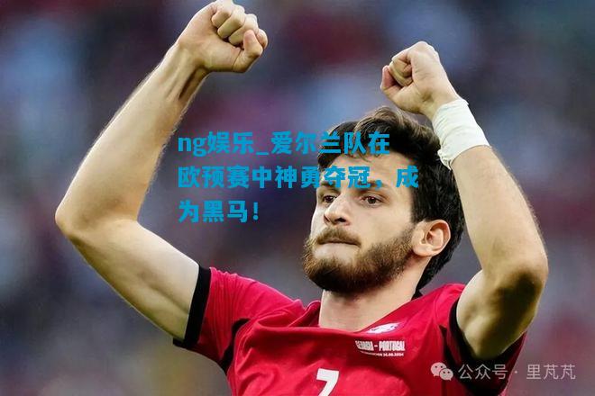 ng娱乐_爱尔兰队在欧预赛中神勇夺冠，成为黑马！