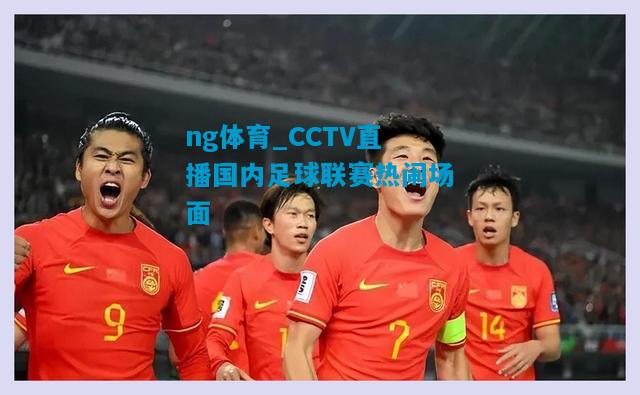 ng体育_CCTV直播国内足球联赛热闹场面